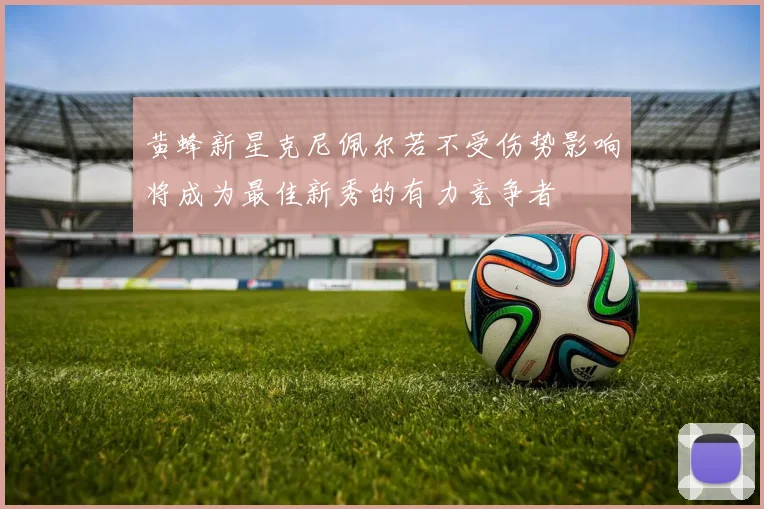 黄蜂新星克尼佩尔若不受伤势影响将成为最佳新秀的有力竞争者