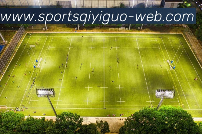 奇异果体育全站App